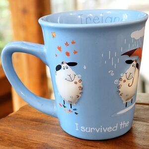 John Hinde "I Survived The Weather In Ireland" Adorable 3D Sheep Mug Approx 11oz